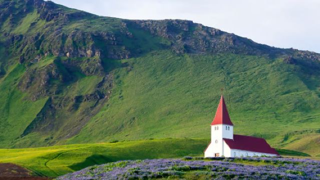 Excursión de un día por la costa sur de Islandia: Playa de Diamantes/Vík/Crucero opcional en Jökulsárlón