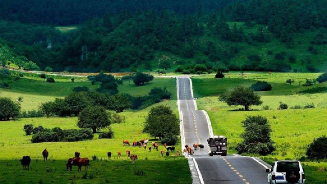 Чунцин Улун: Три природных моста + Гора фей + Галерея реки Уцзян — карстовые чудеса | Путешествие к природному наследию