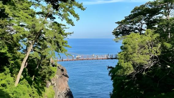 Lawatan sehari Tokyo Izu | Keretapi Pemandangan Laut, Gunung Omuro, Zoo, Pantai Koganezaki tidak termasuk tiket