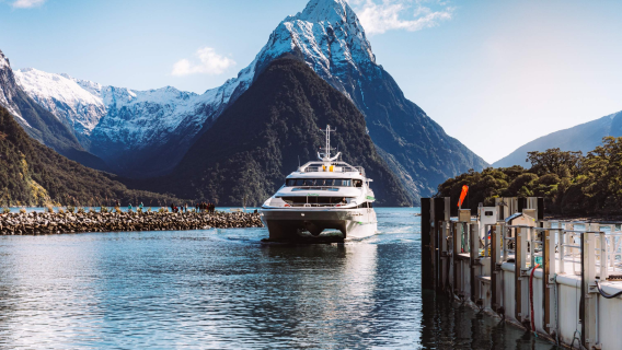 Crucero turístico por el fiordo Milford