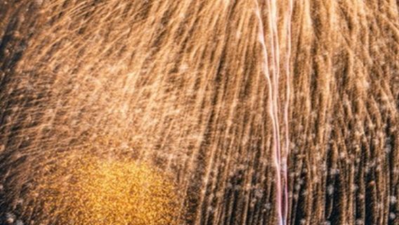 1-day tour to the 2026 Oarai Marine Fireworks Festival and Hitachi Seaside Park