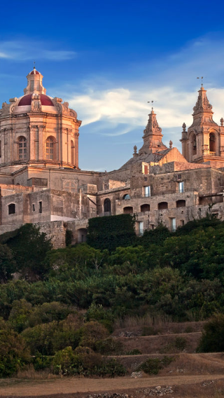 1-day private chartered tour to Mdina Old City Fortress, Blue Grotto, St. John's Co-Cathedral and Upper Barrakka