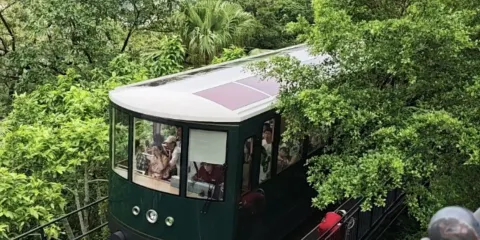 香港一日遊·9人內小團·開篷巴士遊+山頂纜車+蠟像館+摩天台