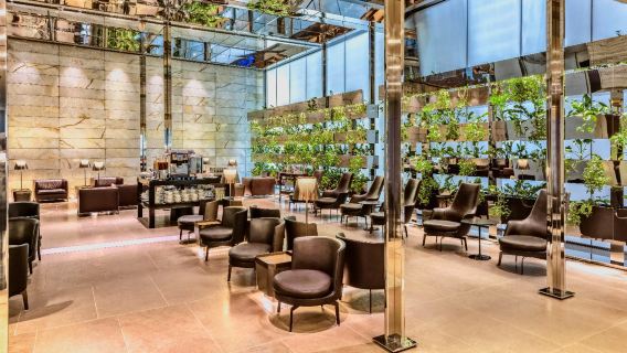 Doha Hamad International Airport VIP lounge pass/transfer VIP lounge transit waiting for return flight overnight