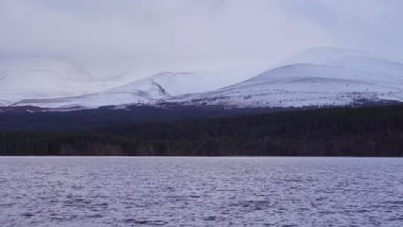 Small Group | Cairngorms National Park Full-Day Tour