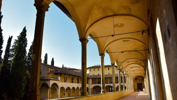 Florence: Guided City Walk & Accademia Tour with David