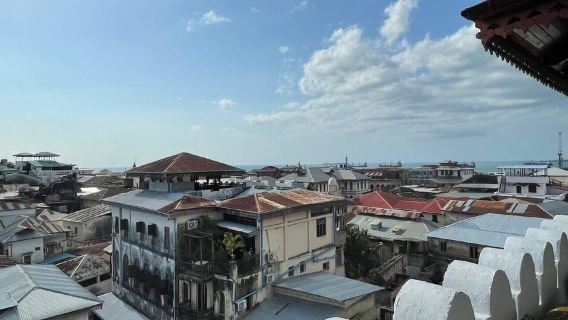 Zanzibar: Sea Turtle Swim & Stone Town Wonders and more