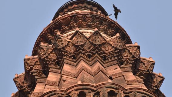 Delhi: Tour guidato di un'intera giornata o mezza giornata tra Vecchia e Nuova Delhi