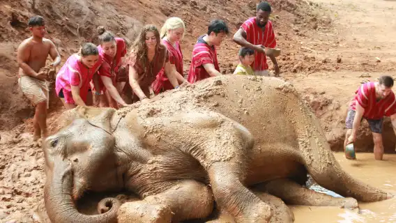 泰國清邁 Kerchor elephant eco park 半日遊【Kerchor】