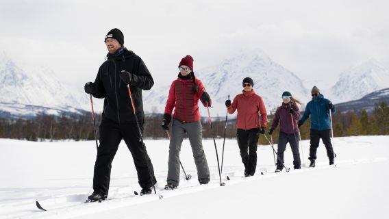 Tromsø Cross-Country Skiing Tour [English- guide+ ski equipment+ Round- round-trip City Transfers]