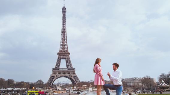 Paris Proposal (Platinum)