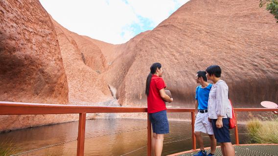 Tour di mezza giornata a Uluru-Kata Tjuta nel Territorio del Nord (escursione intorno alla roccia, tramonto e cena sotto le stelle)
