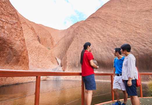 Northern Territory Uluru-Kata Tjuta half-day tour (hiking around the monolith + sunset viewing + starlight dinner)