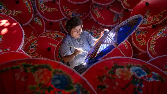 清邁一日通票 - 最高可折抵 60% - 包含湄平河遊船