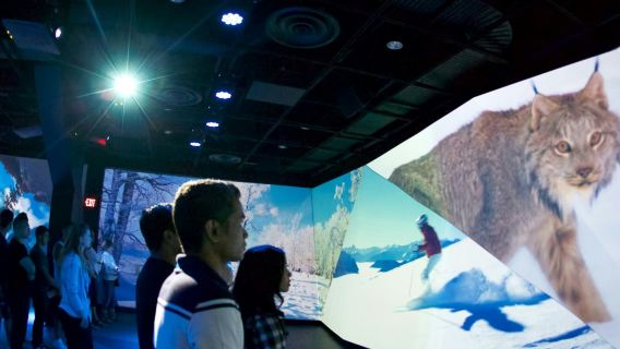 Experiencia de vuelo elevado en Vancouver