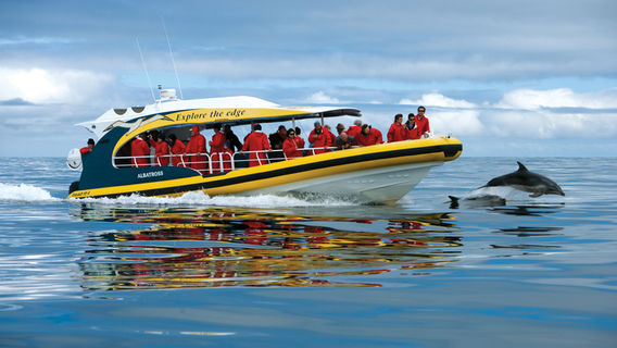 RichmondTours