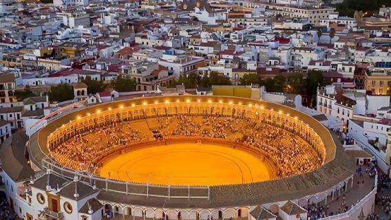 Visite d'une journée de la cathédrale de Séville, de l'Alcazar royal, des arènes et du musée du flamenco