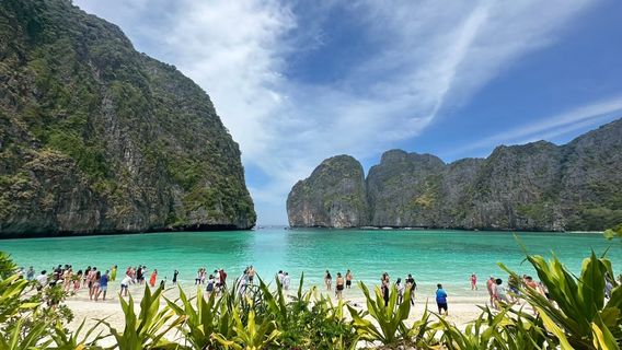 Phang NgaTravel Services
