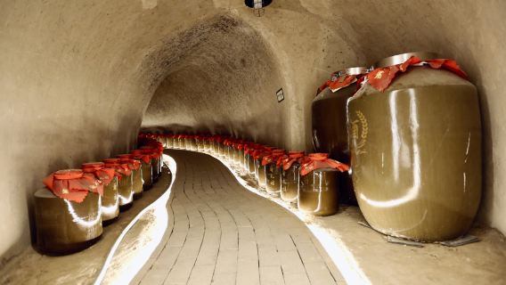 Private Group Chinese Traditional Cave Culture + Kung Fu + Han Yangling one-day tour with Chinese/English guide