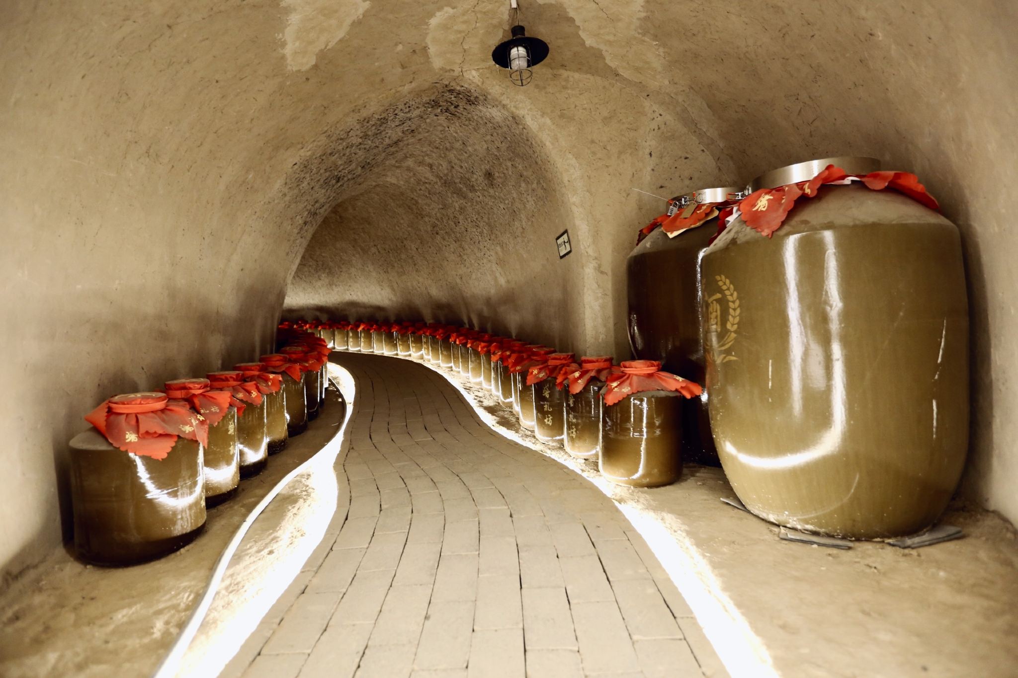 Private Group 1-day Tour: Traditional Chinese Cave Dwellings Culture + Kung Fu + Han Yangling National Archaeological Site Park with Chinese/English Guide