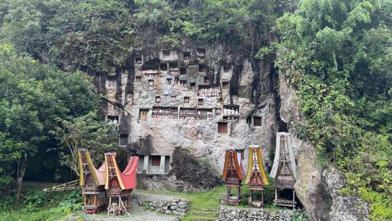 From Bali: 3 Days Explore Toraja of Enchanting Ancient Culture of Indonesia