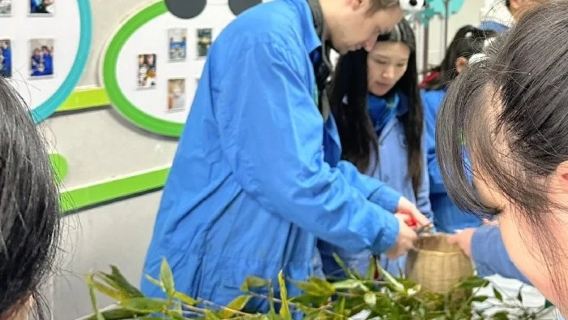 Chengdu Dujiangyan Panda Volunteer 1-Day Private Tour: Multi-Language guide + Free Hotel Pickup and Drop-off + Lunch + Volunteer Certificate