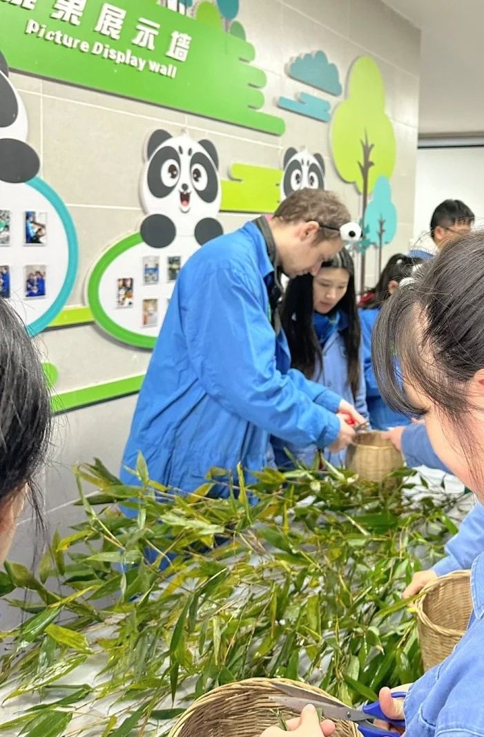 Chengdu Dujiangyan Panda Volunteer 1-Day Private Tour: Multi-Language guide + Free Hotel Pickup and Drop-off + Lunch + Volunteer Certificate