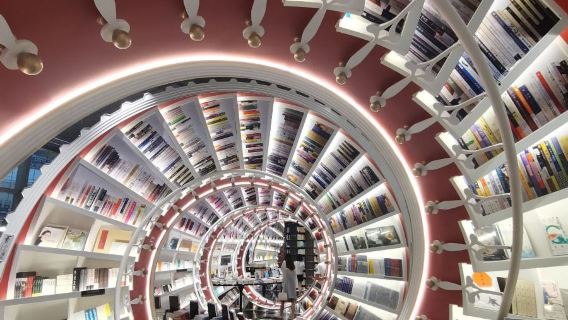 Shenzhen citywide|Multilingual guide|Translation|Customized car and driver|Meeting|Business|Team Building Activity Customization Service. Contact Customer Support for inquiries.