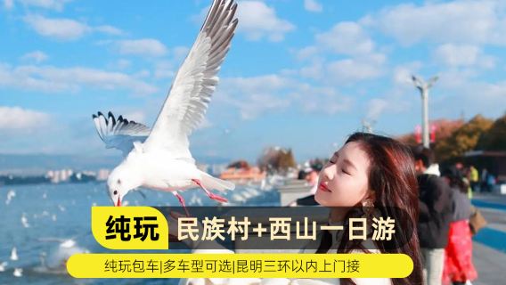 eendaagse tour naar het Kunming Dianchi-meer, de Xishan Longmen-berg en een etnisch dorp | Optionele privé gecharterde autovervoer