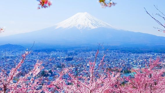 TokyoTours