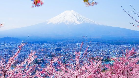 FujiyoshidaTours