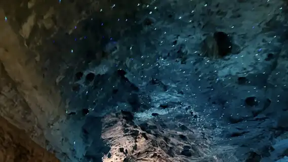 張家界大峽谷+玻璃橋+黃龍洞一日遊獨立包團