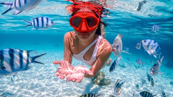 1-day tour to Samae San island in Pattaya: snorkeling from Bangkok & Pattaya