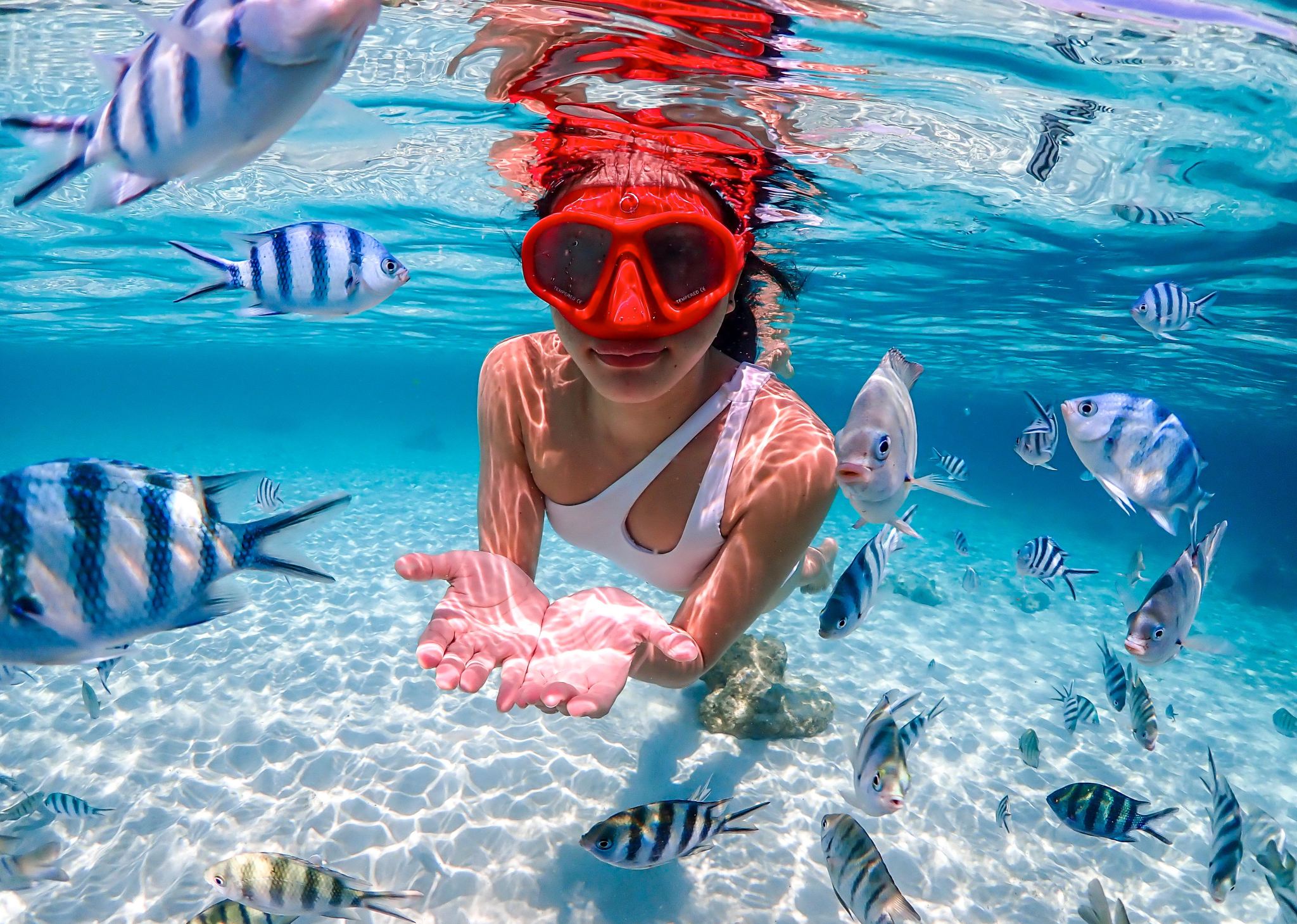 โปรโมชั่นปีใหม่ - ทัวร์ 1 วันเกาะแสมสารพัทยา|ดำน้ำตื้น|ไกด์นำเที่ยวจีน-อังกฤษ|กรุงเทพฯ&พัทยา