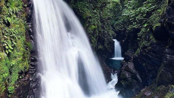 Tour a las Cataratas de San José La Paz, Costa Rica (Tour en Grupo/Reserva para 1 persona)