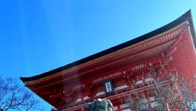 日本京都+奈良公園+春日大社一日遊/行程可調-可定制多日