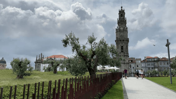 Experiencia de Oporto a Gaia: Paseo por la ciudad y bodegas de vino