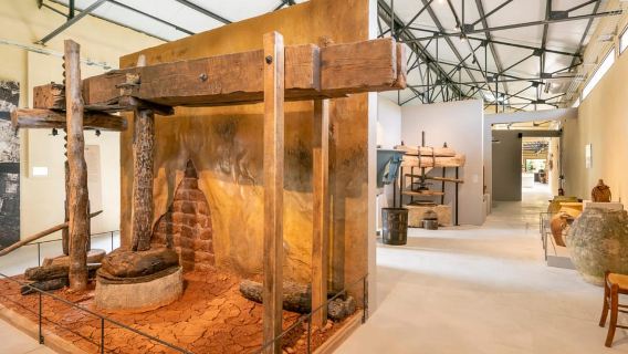Oppède: Visita al Museo dell'Olio d'Oliva