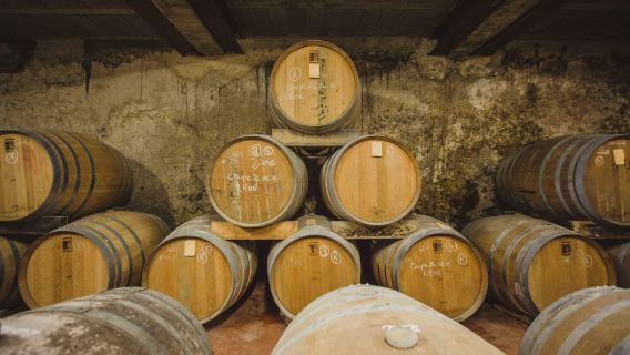 Château Arton Guided Tour and Armagnac Tasting
