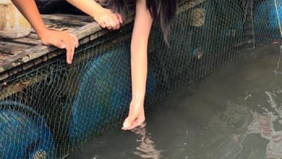 Langkawi Mangrovenaffen-Paket