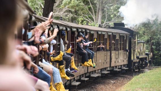 Melbourne: Puffing Billy Steam Train & Penguin Parade Tour