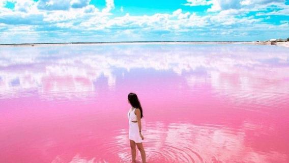 Tulum : biosphère de Rio Lagartos et lac rose Coloradas ! Guidé