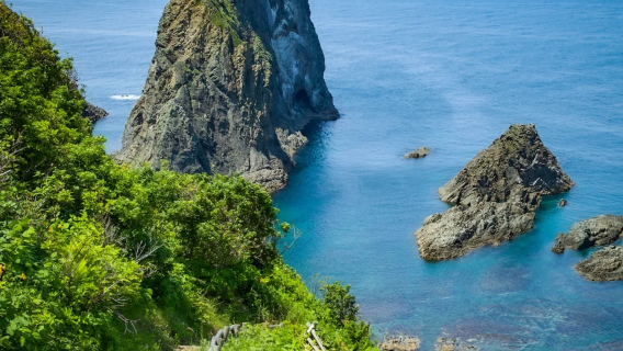 日本北海道札幌出發：威岬+島武意海岸+小樽音樂盒一日遊