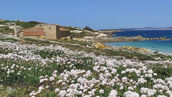 Salvora: Recorrido por la isla con degustación de mejillones