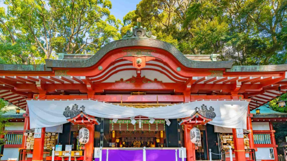 1-day tour to Izu Atami Plum Garden & Shuzenji hot spring maple viewing spots