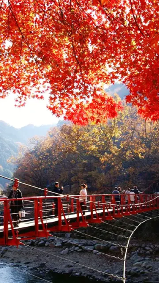Nagoya 1-day tour to Kokkeizan Eihouji Temple + Korankei gorge + Obara Shikizakura, autumn limited route