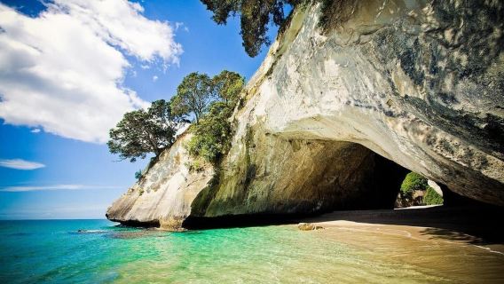 Coromandel e Cathedral Cove con pranzo da Auckland