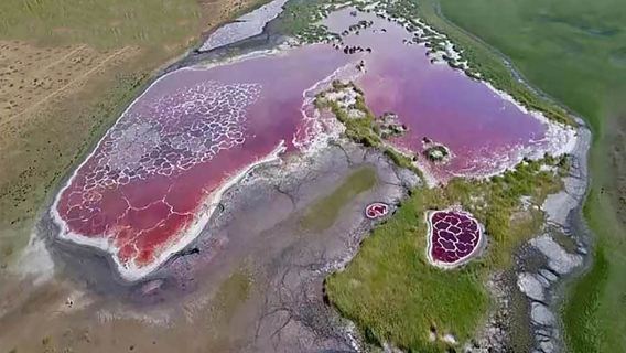 純玩團|寧夏銀川+騰格里沙漠五湖穿越1日遊(地球之心烏蘭湖)