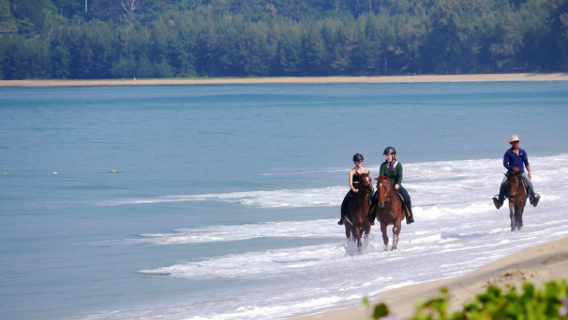 ขี่ม้าชายหาดภูเก็ต [ภูเก็ต ประเทศไทย] กิจกรรมสุดแปลก! ดื่มด่ำไปกับการท่องเที่ยวชายฝั่งแบบอินเทรนด์ เดินเล่นรับลมทะเลพร้อมชมพระอาทิตย์ตกดิน ปลดล็อกความโรแมนติกแบบใหม่บนเกาะ