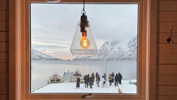 包車直達精華：極光與峽灣，徒步咖啡野生動物，厄斯福德五大體驗